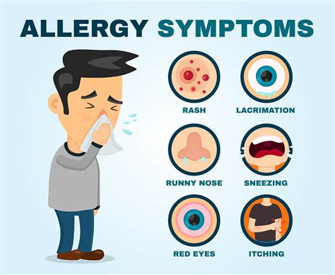 allergy allergies allergia asthma allergic sintomi infographic vettore runny ayurvedic pulmonary disease hypersensitivity