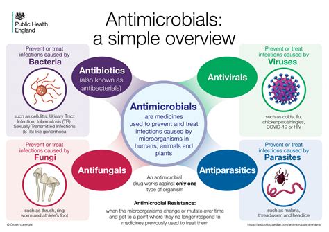 antimicrobials antimicrobial resistance stewardship amr