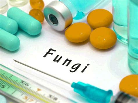 antifungal medications fungus