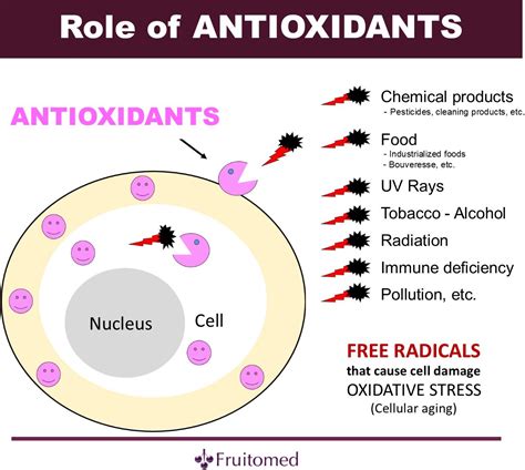 antioxidants radicals role effects do health skin
