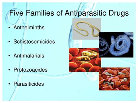 antiparasitic drugs anti parasitic ppt families five agents powerpoint presentation antimalarials