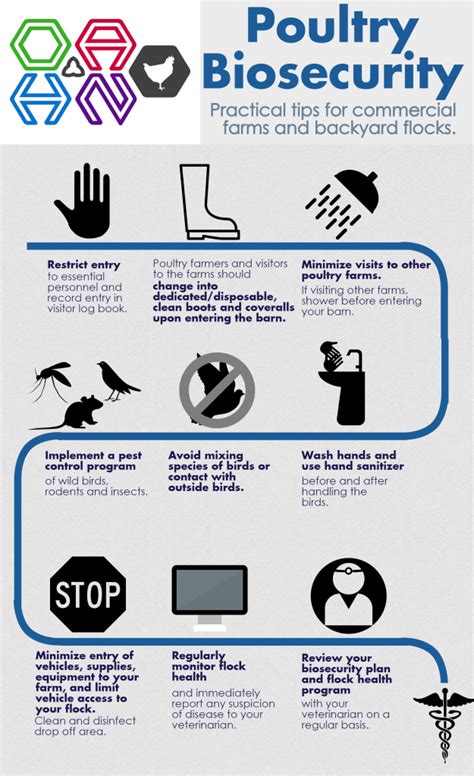 biosecurity poultry infographic avian farm animal influenza health animals commercial information veterinary ontario flock owners small oahn baker tom dr
