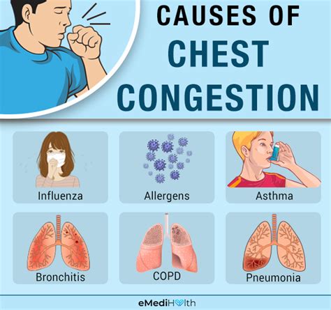 congestion causes flu bronchitis cough asthma pulmonary reactive inflammation bronchial tubes influenza pneumonia respiratory copd any