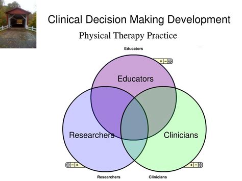 clinical decision making therapy physical clinicians educators researchers development practice