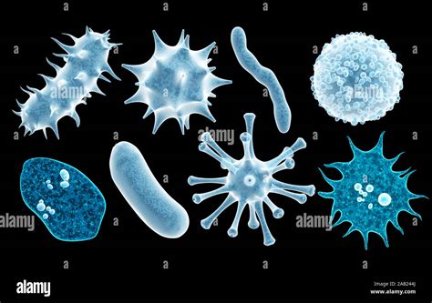 bacteria germ illness microorganism alamy
