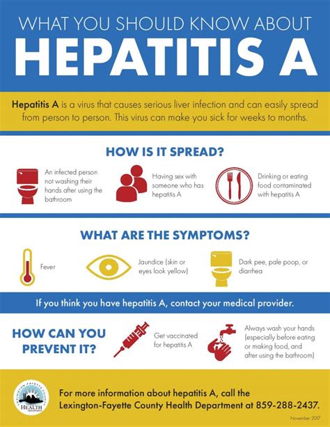 hepatitis hep flyer vaccination lfchd