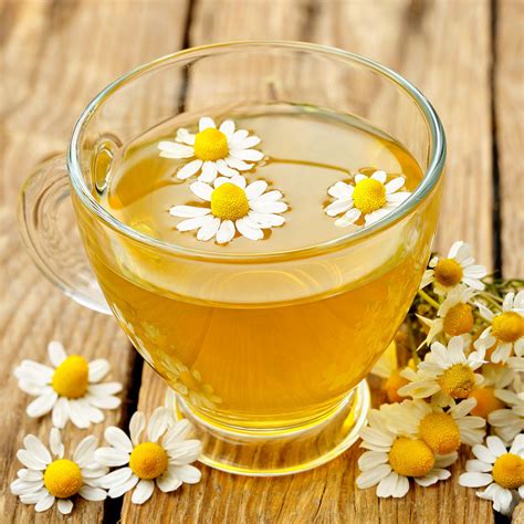 chamomile herbal infusion
