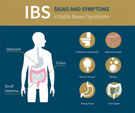 ibs bowel irritable alpine colic
