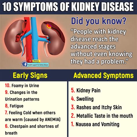 symptoms kidney disease dialysis sign urine foamy off which