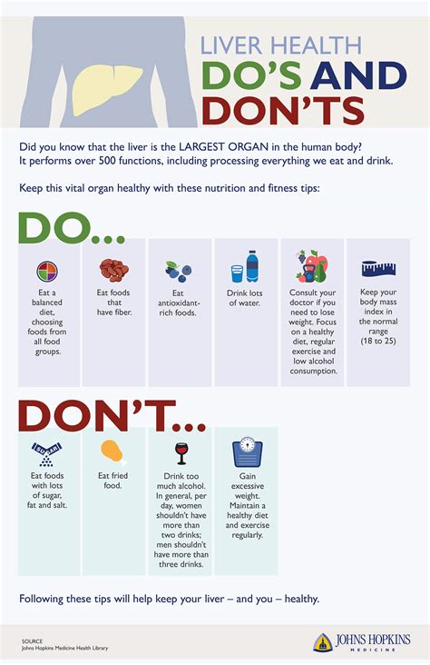 liver health infographic healthy tips pdf human gallbladder body wellness conditions pancreas hopkinsmedicine prevention