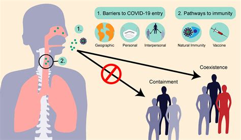 diseases infection emerging viruses outbreak overcome sitn harvard hms barriers
