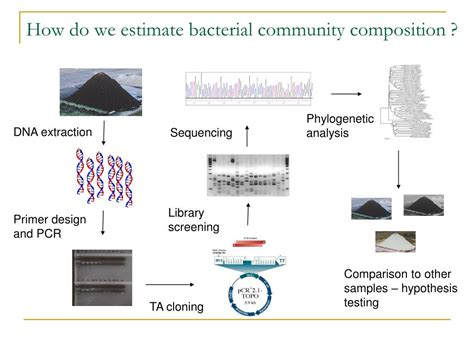 community analysis microbial bacterial do pcr