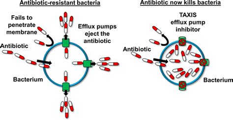 multidrug resistance bacterial resistant infections drug tackling