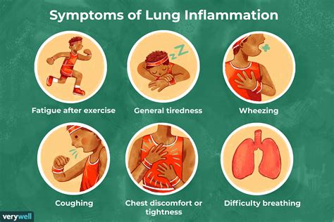 inflammation lung causes lungs treatment nez riaz verywell