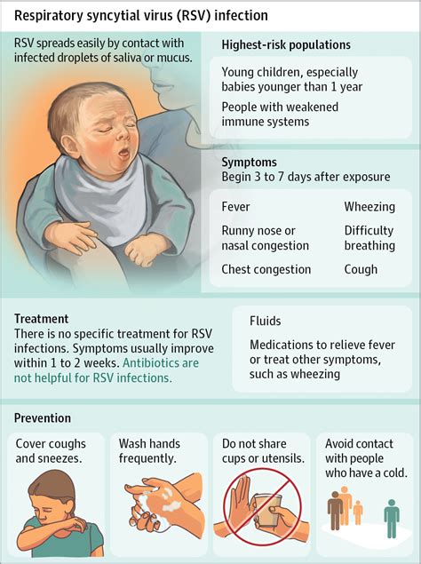 respiratory virus syncytial nursing pediatric rsv infections care system disease school common infant causes parents diseases factors risk patient information