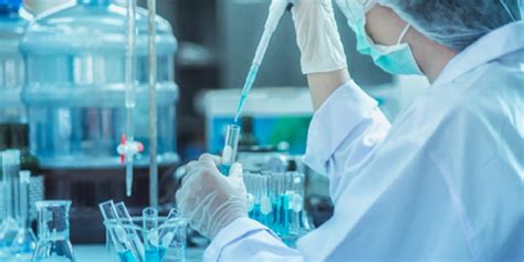 garcinia cambogia investigaciones cientifica efectos whatmaster actuales explanatory exploratory descriptive