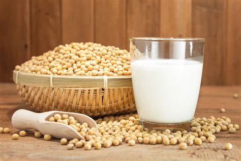 milk soy fresh recipes vaya gazing sun beans nutritionally speaking plant based views may make