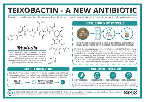 antibiotic discovered discovery compound newly find resistance mechanism action interest antibiotics compoundchem fight chemistry against infographic way science first class