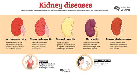 urinary system diseases graph understand infographics medium