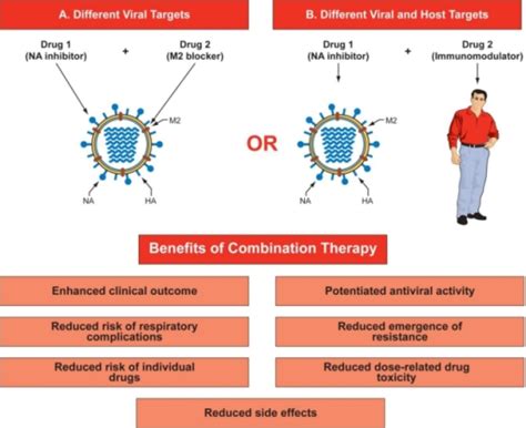 therapy combination influenza benefits antiviral drug viruses m2