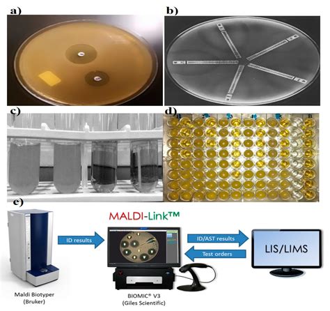 susceptibility testing methods antibiotic diagnostics disk diffusion emerging current conventional