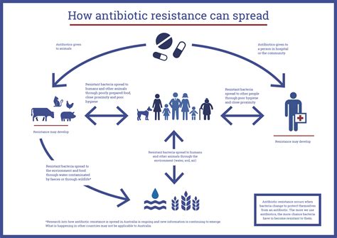 resistance antibiotic spread amr infographic health threat antimicrobial diagram