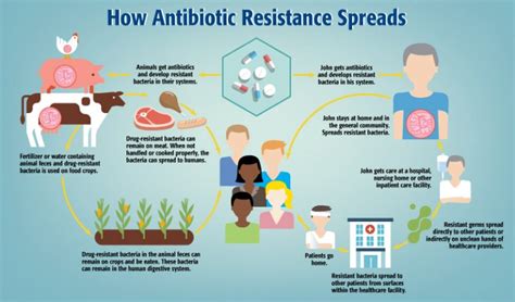 antibiotic antimicrobial amr research resistant spreads fears education collaborates humans infections spadental biomΓ©rieux