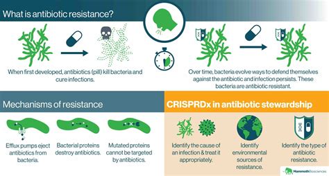 antibiotic resistance crispr antibiotics bacteria diagnostics infographic mammoth bacterial mechanisms disease