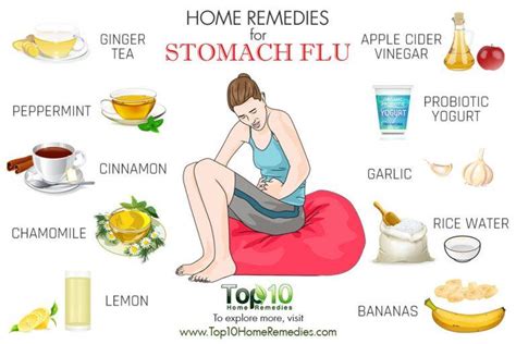 stomach flu gastroenteritis ache acute zinc vokabeln
