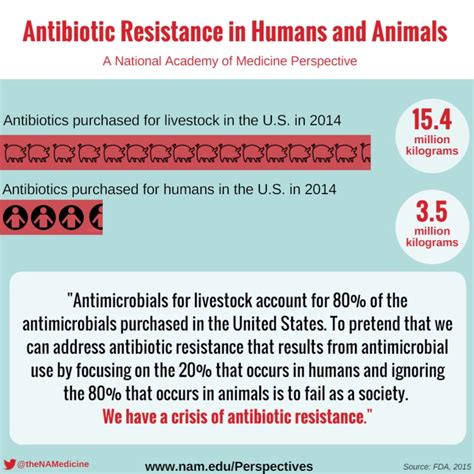 antibiotic resistance animals humans graphic social below nam edu
