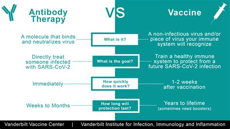antibody infection immunology