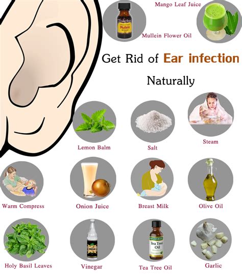 ear infection remedies treatment middle adults symptoms natural pain inner remedy antibiotics homemade drops herbal infant relief syringing boots oils