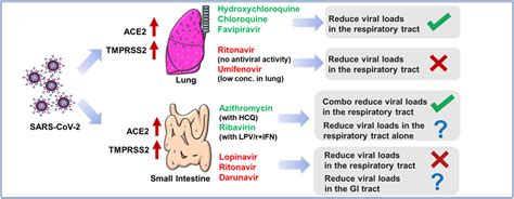 drugs covid lung antivirals treatment their reducing viral