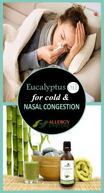 eucalyptus cold congestion nasal