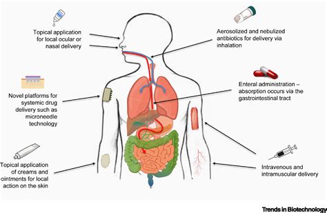 antibiotic antibiotics resistance administration antimicrobial reduce strategies