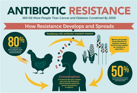 resistance antibiotic antibiotics antimicrobial resistant bacteria prevent combat microbiology primal health group spread source cancer kerala bacterial first infections natural