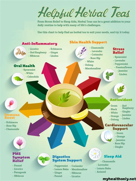 tea benefits herbal teas their different infographic health kinds infographics herbs wellness natural types list helpful bell graphicspedia use tips