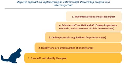 antimicrobial stewardship veterinary implementing avma principles comprehensive arsi umn