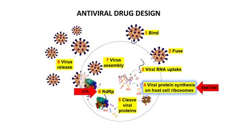 antiviral
