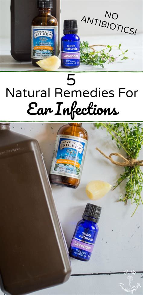 remedies antibiotics infections infection allthenourishingthings remedy herbal cures