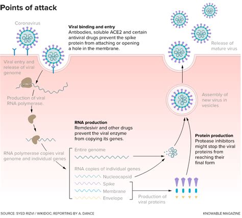 antiviral attack treatments challenges sars drugs cov