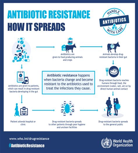 resistance antibiotic bacteria infection genes organisms indicated