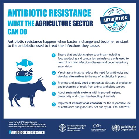 resistance antibiotic who agriculture antimicrobial livestock health use animals awareness do amr infographic sector week antibiotics organization food stewardship infographics