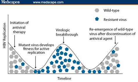 resistance drug antiviral hbv development viral implications understanding clinical hepatitis