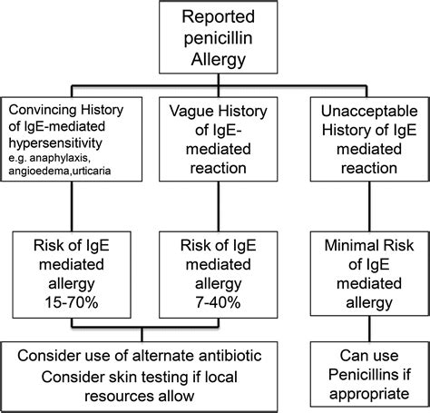 allergy antibiotics antibiotic allergic clinical figure jcp bmj