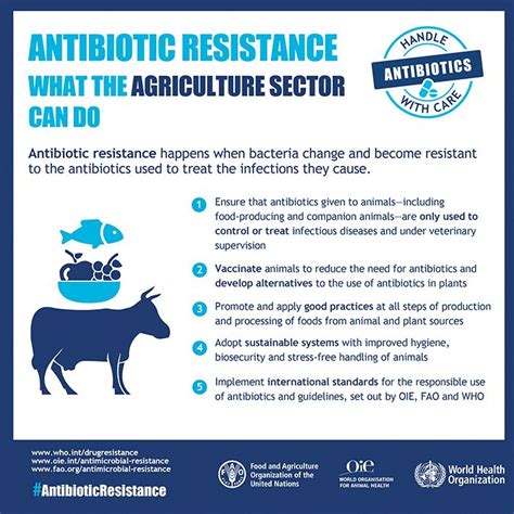resistance who antibiotic agriculture antimicrobial livestock health use do awareness animals infographic amr sector week organization antibiotics food stewardship bill