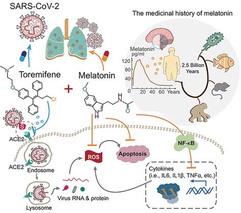 inflammatory antiviral covid treatment network anti approach therapeutics combining based using figure ccjm
