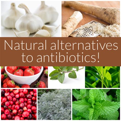 alternatives antibiotics antibiotic roguepreparedness