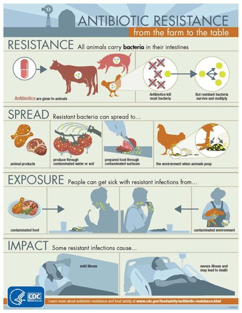 resistance antibiotic infographic cdc infographics
