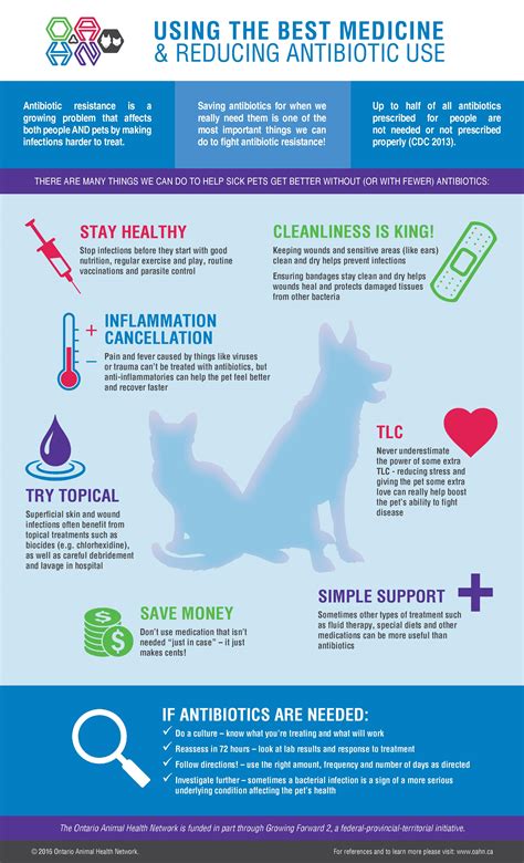 medicine infographic antibiotic reducing using use oahn